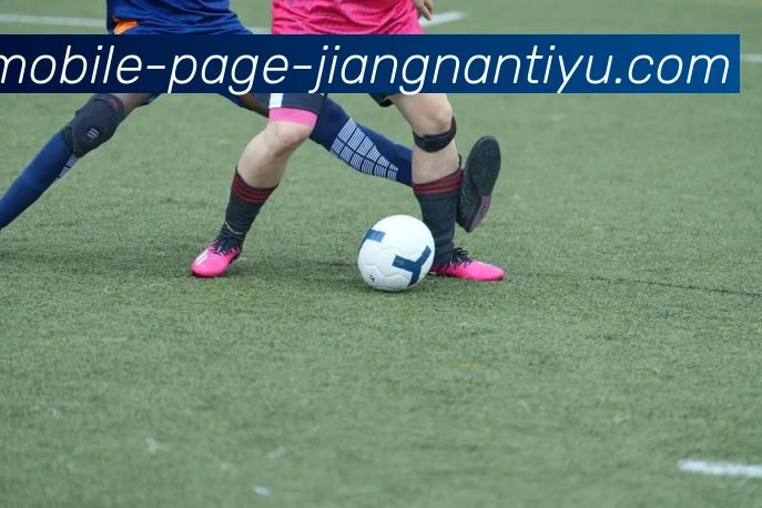 江南体育平台生态图